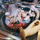 육통단지
