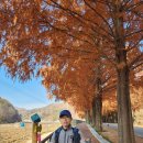 부귀면행정복지센터 이미지