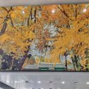 성균관대학교 국정전문대학원 이미지