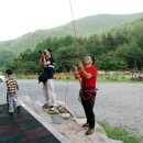 함태초교 이미지