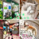 울산 실내동물원 동물러버 필수코스 와우쥬 캐니언파크 후기