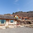 섬진강 찔레꽃 언덕 이미지