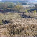 갈대습지공원 이미지