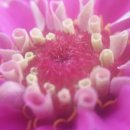 스마트폰 동영상 제작 이미지