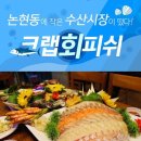 금 양 Daum카페