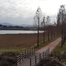 경포저류지 이미지