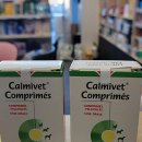 오송이화약국 이미지