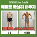 오송휘트니스 이미지