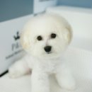 라비동물병원 이미지