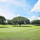 메디컬미래약국 이미지