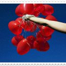 바디온 스튜디오 이미지