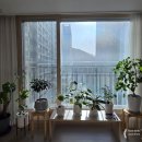 어진로 | 용인 남사화훼단지 방문기 🌿 예삐, 한, 에르베 플라워아울렛 비교 및 솔직 후기