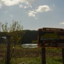 용문산 은행나무길(물소리길 6코스) 이미지