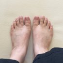 삼송 네일 네일플러팅 여름 젤패디 성공적 후기