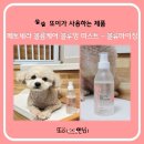 블루밍 펫 살롱 | [브리지테일] 강아지 미스트 페토세라 내돈내산 사용후기