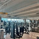 화성바벨클럽 | 동탄 헬스장 추천 웰니스앤핏 동탄호수공원점 완벽 가이드