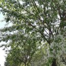 초록나무약국 이미지