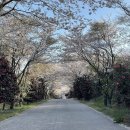 서광리-16 네이버블로그