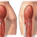 제이엠 휘트니스 신성점 이미지