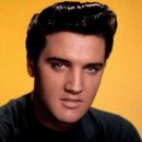 완전히 흔들렸어...All Shook Up - Elvis Presley 이미지
