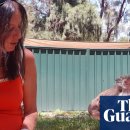 so tree farm 이미지