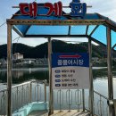 영덕 여행에서 찾은 영덕대게 맛집, 영동수산 솔직 후기
