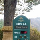 제이드 골프클럽 이미지