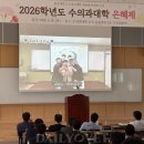 다진메디칼 데일리벳