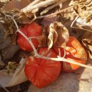 신수펜션 이미지