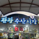 용환 | [대포항] 강원도 속초 | 용환이네 신선한 제철 회 포장 후기