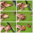 포항혈액공 대한적십자사 앞 | 포항 낚시 이후 이야기 (집에서 멍게 손질 방법!)