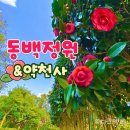 자광원 | 제주도 절 약천사 이국적인 사찰 동백정원 카페