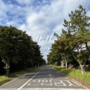 씨유서귀표선세화점 | [제주여행] 2일차 :: 롯데리아 / 동백포레스트 / 고씨네천지국수 / 세리월드카트체험 / 힐링아로마...