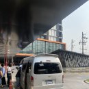 라일락목장 | 치앙마이 일일투어 | 엘리핀팜 &amp; 싸이프레스레인 &amp; 몬쨈 투어 후기