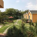 돌담집펜션 이미지