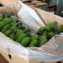 안정농장 이미지