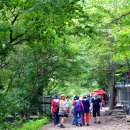 덕산목장 이미지