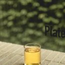 플디(도산점)