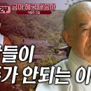 사람들이 화두가 안되는 이유, 뜰앞의 잣나무, 금아 혜국 대종사 이미지