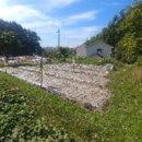 곡성-111 이미지