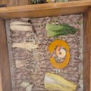 아이똑똑동탄 | 동탄단체회식 장소 고민 끝! 편백찜부터 샤브샤브까지 편백회관 리얼 후기