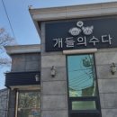 샵춘자 이미지