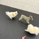 우리집 강아지 | 매콤한 낙곱새 점심 &amp; 꿀잠 자는 우리 집 강아지 유치원 후기