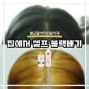 쏘쏘헤어 | 셀프탈색약 탈색제로 셀프블랙빼기 후기, 헤어케어는 필수!