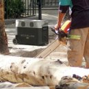 주식회사 에코태양광 이미지