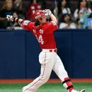 [KBO] 현재 각 팀에서 홈런을 가장 많이 친 타자 이미지