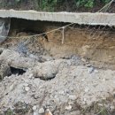 대호2농장 이미지