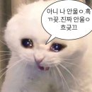 도화체육관 | 훠궈, 키보드 그리고 크리에이터의 미감.