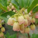 여리농장 이미지