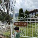 가족나무 | 강화도 가족여행 숙소 👉 비행기나무 펜션 3가족 후기